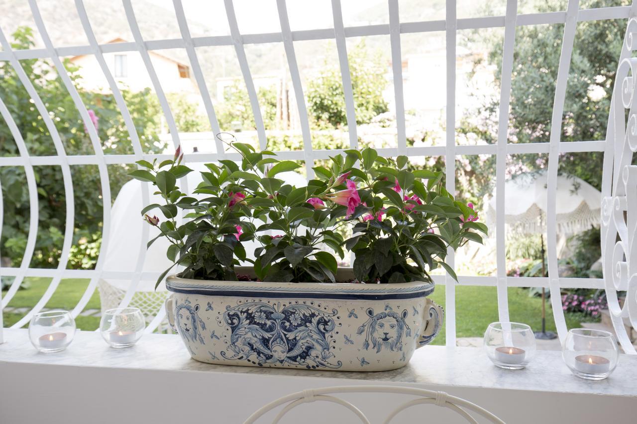 Bed and Breakfast Palazzo Cacace Relais Piano di Sorrento Zewnętrze zdjęcie